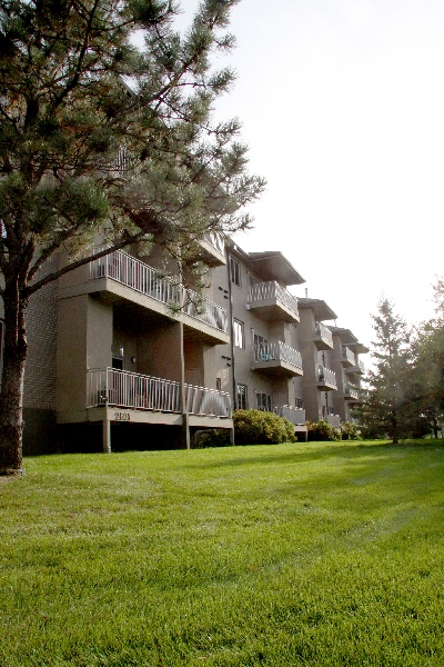 Pines at Four Hills